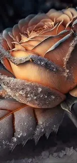 Frosted rose with ice crystals in artistic design