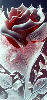 Intricate frosted red rose with icy details on a dark background.