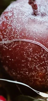 Close-up of a frosty red apple with icy surface and surrounding greenery.