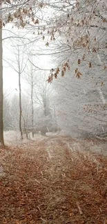 Serene autumn forest path with frosted trees and fallen leaves.