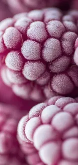 Close-up of frozen berries with frosty textures on a purple background.