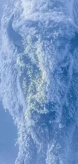 Frost-covered bison in a winter scene, showcasing ice blue hues.