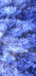 Frosty blue fern pattern wallpaper showcasing icy textures.