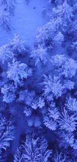 Aerial view of a frosty blue forest from above, showcasing snow-covered trees.