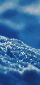 Frosty blue winter scene with textured snow.