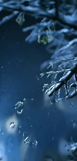 Close-up of frosty branches with a deep blue and icy theme, perfect for mobile wallpaper.