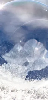 Frosty bubble sitting on snow with a blue wintery backdrop.