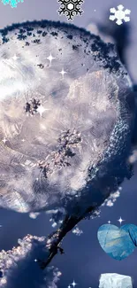 Frosty bubble with snowflakes and a winter background.