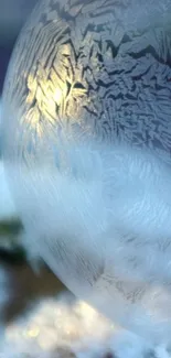 Frosty bubble with intricate ice patterns in winter landscape.