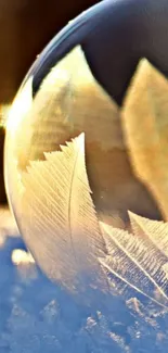 Frosted globe on snowy surface with golden light.