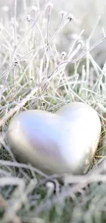 Silver heart resting in frosty grass on a serene winter morning.