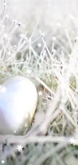 Frosty heart with snowflakes on a wintery background.