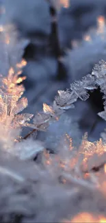 Close-up of frosty ice crystals in blue hues with a warm glow.