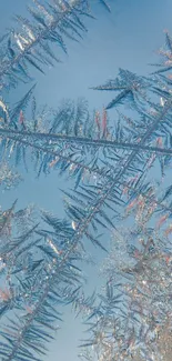 Intricate frosty patterns on a light blue background, perfect for winter-themed mobile wallpapers.