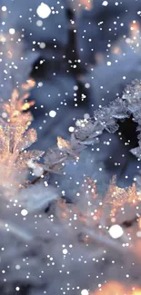 Close-up of icy frost crystals with a warm glow for mobile wallpaper.