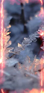 Close-up of frosty ice crystals with warm sunlight.