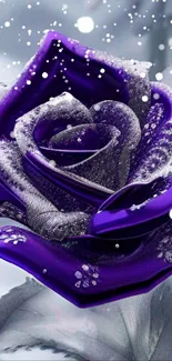 Purple frosty rose with icy details and gray background.