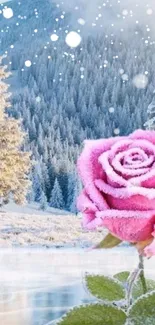 Pink frosted rose with snowy trees and mountain background.