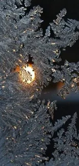 Mobile wallpaper of frosty sunrise with sunlit ice patterns.