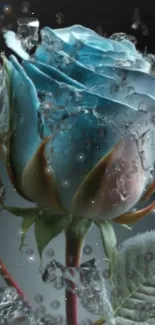 Blue rose with icy texture and droplets, perfect phone wallpaper.