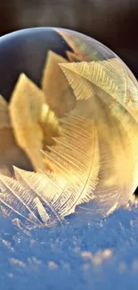 Golden-hued frozen bubble with intricate ice patterns on snow.