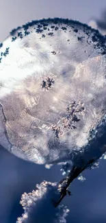 Frozen bubble with intricate ice patterns on a branch in a winter scene.