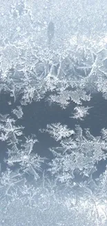 Intricate ice crystal pattern on a frosty surface.