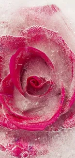 A close-up of a pink rose frozen in ice, creating an elegant mobile wallpaper.