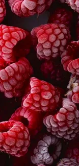 Close-up of vibrant frozen raspberries with rich textures and colors.