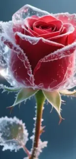 A vibrant red rose encapsulated in ice, showcasing natural beauty.
