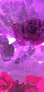 Frozen rose encased in purple-lit ice with petals.