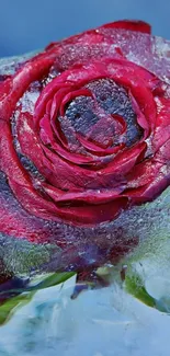 Frozen red rose encapsulated in ice, vivid mobile wallpaper.