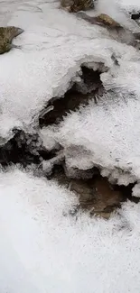 Frozen stream with unique ice formations.