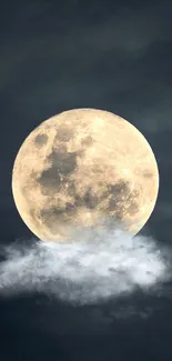 Full moon rising above soft clouds in a dark night sky.