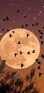 Full moon with flying birds silhouette against an orange night sky.