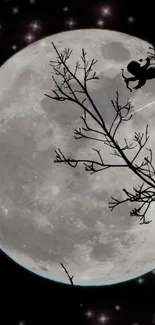 Full moon with Cupid silhouette on branch against a starry night sky.