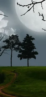 Serene night landscape with full moon and silhouetted trees in a grassy field.