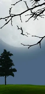 Mobile wallpaper of a full moon night with silhouetted branches.