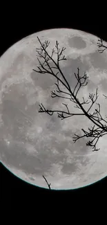 Full moon with branches in a dark night sky.