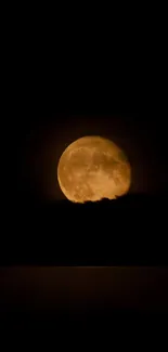 Full moon glowing in a dark night sky wallpaper.