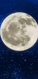 Full moon against a deep blue starry sky.