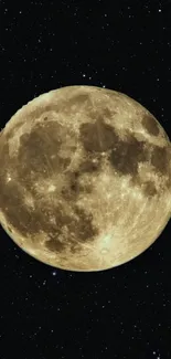 Full moon glowing against a starry night sky.