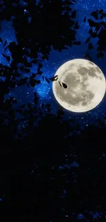 Full moon amid dark trees under starry sky and deep blue background.