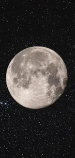 Full moon against a starry night sky.