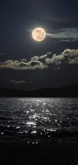 Full moon illuminating a calm ocean surface at night.