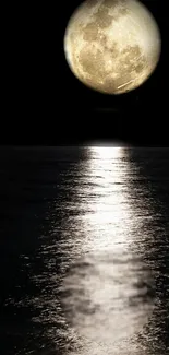 Full moon casting reflection on ocean at night with dark sky.