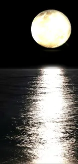 Full moon shining over a dark ocean with vivid reflection.