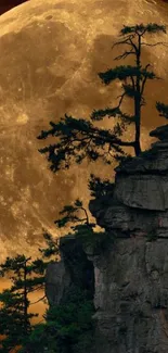 Full moon rises over cliffs with trees in a serene night scene.