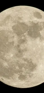 A stunning full moon with detailed surface on a black background.