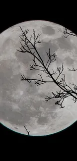 Mobile wallpaper of a full moon and silhouette branches against a dark sky.